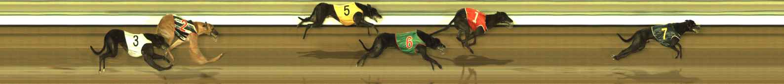 Race result finish photo